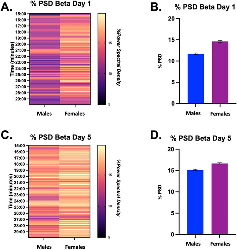 Figure 3. Percent power spectral density (PSD) for the Beta frequency during the last 15 min of restraint on Days 1 and 5 in male and female rats, displayed in both heat map and bar graph format. (A) Heat map of % power spectral density for the beta frequency in males and females during the last 15 min of restraint on Day 1. There was a significant effect of time (but not sex) on the % PSD of beta in males and females on Day 1. (B) Bar graph quantifying % power spectral density for the beta frequency from Panel A. (C) Heat map of % power spectral density for the beta frequency in males and females during the last 15 min of restraint on Day 5. There was no main effect of sex or time on % PSD of beta in males and females on Day 5 of restraint. (D) Bar graph quantifying % power spectral density for the beta frequency from Panel C.