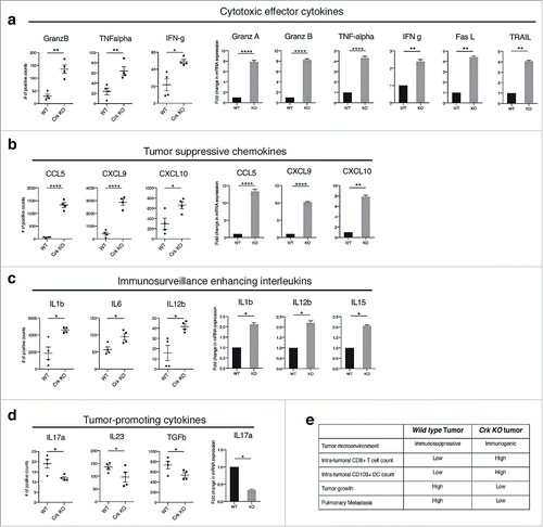 Figure 3. Crk knockout generates anti-tumor cytokine profile in tumor micro-environment: Total RNA extracted from WT and Crk KO tumors were used to analyze cytokine and chemokine gene signatures by Nanostring analysis (showed in dot plots) and were further validated using the RT2 PCR profiler assay (shown in bar graphs). Cytotoxic effector cytokines (a), tumor suppressive chemokines (b), immunosurveillance enhancing interleukins (c), and tumor promoting cytokines (d) were estimated from each tumor type. (n = 4/group). (e) Tabular summary of role of Crk gene knockout by CRISPR-Cas9 indicating a switch from immunosuppressive to immunogenic tumor microenvironment and increase tumor infiltrating CD8+ T cells that DC leading to tumor regression and metastatic suppression. Error bars, S.D.; all P values are based on one-sided Student's t-tests. * P < 0.05, ** P < 0.001, **** P < 0.0001.