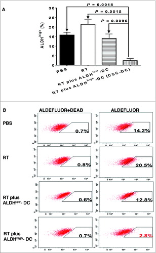 Figure 6. RT plus CSC-DC vaccine treatment significantly decreased the percentage of ALDHhigh cells in D5 melanoma tumors. Cytofluorimetric analysis of the percentage of ALDHhigh cells in D5 melanoma tumors from mice treated with phosphate buffered saline (PBS), radiotherapy (RT), RT plus ALDHlow-DC or RT plus ALDHhigh-DC (CSC-DC). Primary tumors were dissociated and tumor cells were incubated with ALDEFLUOR with or without the ALDH inhibitor DEAB as the control. Experiments were repeated at least 3 times by using s.c tumors from multiple individual mice per treatment group (A) Shown are the mean +/− SE. (B) Mixed tumor cells from multiple mice of each treatment group were used to generate representative flow cytometry histograms. The experiments were repeated twice.