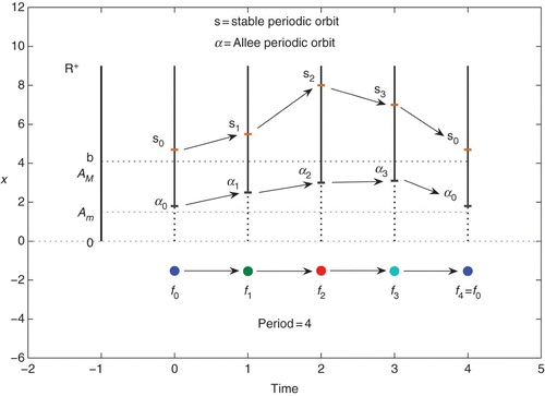 Figure 5. The stable periodic orbit s j and the Allee periodic orbit α j in the Skew-Product space. A M =A max, the largest of the Allee thresholds A j of the component functions f j governing the evolution of the system at time t=j and A m =A min. The vertical dashed lines are the regions of extinction at times 0, 1, 2, 3, while the vertical solid lines are the regions of attraction of the periodic orbit s.