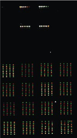 Figure 3. The large numbers of antibody/antigen binding studies generated need to be visualized and analyzed.