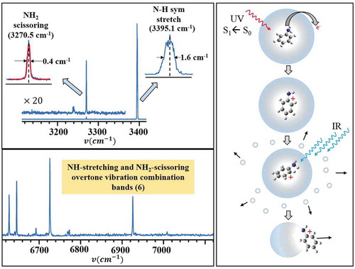 Figure 12. Spectra of aniline ions in helium droplets (Left) [Citation194]. The top left panel shows spectrum in the frequency range of NH stretching and NH2 scissoring modes, along with a magnified spectra of the two bands. The bottom panel shows the spectrum in the frequency range of the overtones. The pictogram on the right illustrates the ion ejection spectroscopy. Embedded aniline ions are produced via laser resonance multiphoton ionization. The resulting ions absorb several quanta of IR leading to the ejection of bare ions.