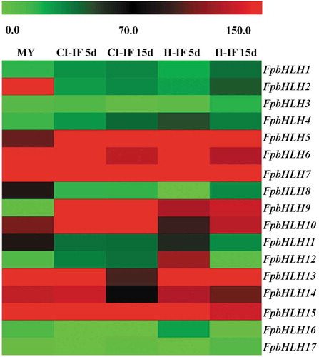 Fig. 2 (Colour online) Heat map of expression profiles for FpbHLH genes. The colour bar represents the expression values, ranging from green (0) to red (150). MY, mycelia; CI-IF5d and CI-IF15d, indicate samples from 5 and 15 days after infection of susceptible wheat ‘Guomai301’; II-IF5d and II-IF15d, indicate samples from 5 and 15 days after infection of resistant wheat ‘Zhoumai24’.
