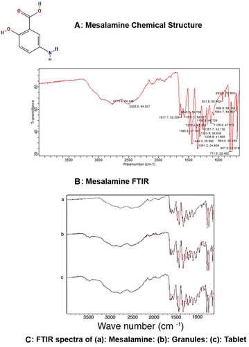 Figure 7 FTIR spectra. (A) Mesalamine chemical structure. (B) Mesalamine FTIR peaks showing the –NH2 functional group bending peak and C=O functional group stretching at 1615–1700 cm−1, along with C-O stretch at 1215 cm−1. (C) FTIR spectra of (a) mesalamine; (b) mesalamine granules; (c) mesalamine tablet showing characteristic peaks of mesalamine functional groups in spectra of mesalamine, mesalamine matrix tablets, and granules with indication of no excipient-drug incompatibility.