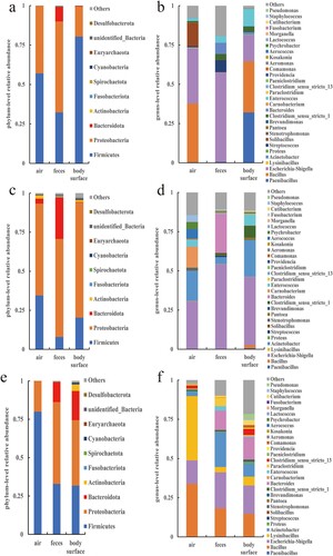 Figure 6. The relative abundance of bacteria at the phylum and genus levels in the kid pen. (a) Phylum in March, (b) Genus in March, (c) Phylum in April, (d) Genus in April, (e) Phylum ln May, and (f) Genus in May.