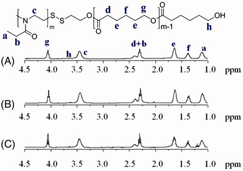 Figure 1. 1HNMR spectra (400 MHz, CDCl3) of PEtOz-SS-PCL23 (A), PEtOz-SS-PCL33 (B) and PEtOz-SS-PCL43 (C).