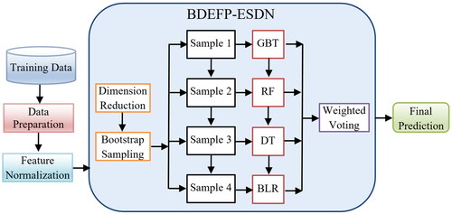 Figure 1. Illustration of BDEFP-ESDN construction.