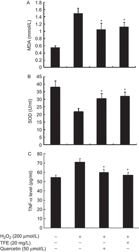 Figure 2.  TFE suppresses H2O2-induced MDA production (A), up-regulates total SOD activity (B) and decreases in secretion of TNF-α (C) in VSMCs. *P < 0.05 compared with H2O2 alone (n = 5).