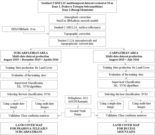 Figure 2. The workflow of the analysis.