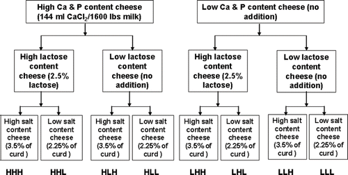 Figure 1 Experimental design of Cheddar cheese preparation for process cheese manufacturing.