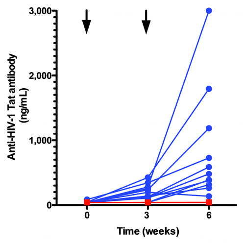 Figure 3. Changes in anti-Tat antibody levels after TUTI-16 (blue) or placebo (red) injections. Arrows denote injection times. The blue lines and symbols represent individual vaccinated subjects. The red line and symbols show the non-responsiveness of the placebo group and two non-responding vaccine subjects are concealed behind this line. TUTI-16 induced antibody levels < 40 ng/mL were previously shown to lower plasma HIV levels in asymptomatic ART naïve HIV infected subjects.Citation18