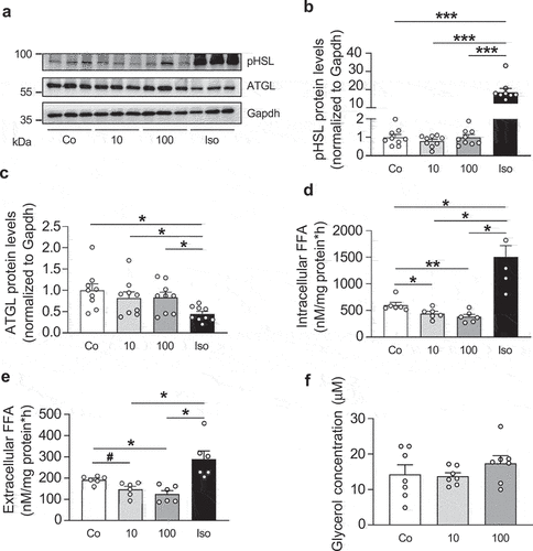 Figure 2. IL-27 decreases FFA concentrations in 3T3-L1 adipocytes.