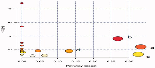 Figure 7. Summary of Pathway Analysis with MetPA; (a) Valine, leucine and isoleucine biosynthesis, (b) Glycine, serine and threonine metabolism, (c) Arachidonic acid metabolism, (d) Fructose and mannose metabolism.