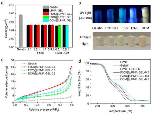 Figure 7. (a) Density of the aerogels with the diﬀerent ratio of LPNF or Dyes@LPNF (F555, F378, DCM) and gelatin. (b) Photos of aerogels under UV light (365 nm) and ambient light samples. (c) Nitrogen gas absorption–desorption curve of gelatin and LPNF matrix aerogels. (d) TGA curves of amyloid fibril aerogel under nitrogen atmospheres. The residue obtained after the complete decomposition is remaining salts in the system.