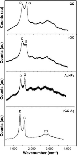 Figure 6 Raman spectroscopy analyses of GO, rGO, AgNPs, and rGO-Ag nanocomposites.Notes: Raman spectra of GO, rGO, AgNPs, and rGO-Ag nanocomposites were obtained using a laser excitation wavelength of 532 nm at the power of 1 mW, after the removal of background fluorescence. The ratio of ID/IG increased to 2.1 (rGO-Ag nanocomposites) from 1.54. At least three independent experiments were performed for each sample, and reproducible results were obtained. Two dimensional Raman (2D)-band is a second-order two-phonon process.Abbreviations: GO, graphene oxide; rGO, reduced graphene oxide; AgNPs, silver nanoparticles; rGO-Ag, reduced graphene oxide-silver; ID, intensity of D band; IG, intensity of G band.