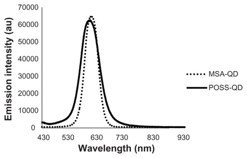 Figure 3 Fluorescence emission spectra of POSS and MSA-QDs.Notes: POSS-QDs emit at 630 nm and MSA-QDs at 635 nm. There is no significant difference in the peak emission wavelength of both QDs, although POSS-QDs have a slightly broader FWHM compared to MSA-QDs.Abbreviations: POSS, polyhedral oligomeric silsesquioxane; MSA-QDs, mercaptosuccinic acid quantum dots; POSS-QDs, polyhedral oligomeric silsesquioxane quantum dots; QDs, quantum dots.