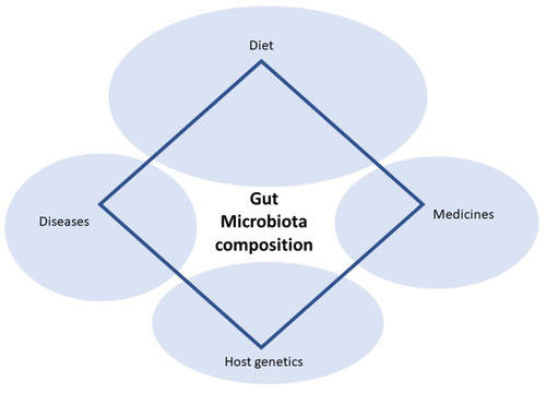 Figure 9 Diet is the main factor affecting composition of gut microbiota.