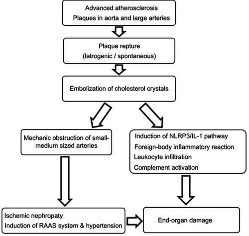 Figure 1 Pathophysiological mechanisms of cholesterol embolization syndrome.