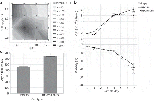 Figure 2. Optimizing N:P ratio and DNA concentration for HEK293 DKO transient transfections: (A) Transfections were tested across N:P ratios of 5 to 12.5 and DNA concentrations of 0.75 to 1.5 µg/mL. Transfecting HEK293 and HEK293 DKO cells at the 30 mL tubespin scale with an N:P ratio of 7.5 and a DNA concentration of 1 µg/mL: (B) VCD and viability over the 7-day production cultures and (C) day 7 titers.