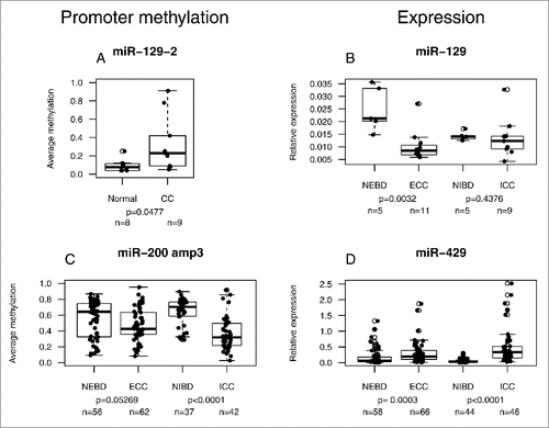 Figure 2. Correlation between miRNA promoter methylation and miRNA expression in CC. Methylation levels of the promoters of miR-129-2 (A) and the co-regulated miR-200a, miR-200b, and miR-429 (C) in cohort #2 and control samples. Corresponding relative expression is shown to the right (B and D). In C) and D), additional patient samples were included (see text). NEBD: normal extrahepatic bile duct; NIBD: normal intrahepatic bile duct.