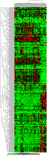 Figure 2 Unsupervised clustergram indicating the magnitude of miRNA expression (green = minimal, red = maximal) in exacerbating COPD participants (EX, n=20) compared to stable state participants (ST, n=20).