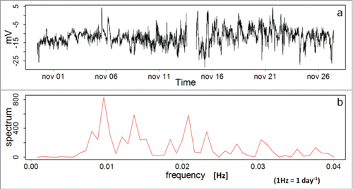 Figure 2. Electrophysiological response of Prunus domestica plants, measured with the Keithley voltmeter.