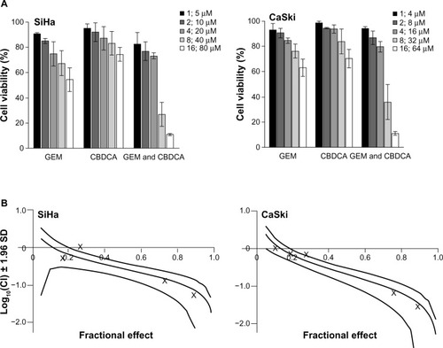 Figure 4 Synergistic cytotoxicity of gemcitabine combined with carboplatin in cervical cancer cell lines. (A) SiHa and CaSki cells were seeded into 96-well plates and treated with gemcitabine or/and carboplatin at the indicated concentrations. After 72 hours, cell viability was measured using the Cell Counting Kit-8 viability assay. The data shown represent the mean ± standard deviation (n=3). (B) The synergistic effect of gemcitabine combined with carboplatin was quantitatively analyzed with a Cl and expressed as log10(CI) versus fractional effect Where calculable, 95% confidence intervals are shown.