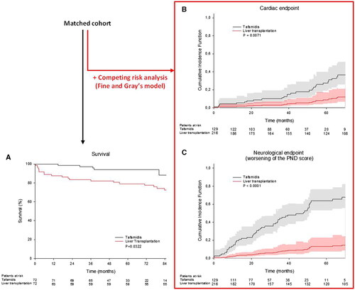 Figure 4. Matched cohort. Comparisons between tafamidis (black line) and LT (red line) for survival (panel A), neurological endpoint (panel B) and cardiac endpoint (panel C). For survival, Kaplan Meier curves were used. For neurological and cardiac endpoints, the competing risk of death is taken into account and the cumulative incidence function is presented.