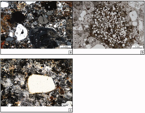 Figure 8. Highview rhyolite. (a) The plane-polarised light image of quartz, plagioclase (P; zoned and sericite-altered), chlorite ± opaque-altered biotite (B), and very fine-grained opaques. Note the relatively coarse quartzo-feldspathic symplectite recrystallisation, devitrification textures of the formerly glassy groundmass. The scale bar is 1 mm. Thin-section T089855. (b) Former garnet phenocryst with abundant quartz inclusions that are almost completely replaced by biotite and chlorite. Remnant garnet fragments are pinkish and high-relief in plane-polarised light. The scale bar is 1 mm. Thin-section T089855. (c) Quartz crystal surrounded by secondary biotite in a groundmass of quartzo-feldspathic symplectite recrystallisation textures. Fine-grained biotite is also in the groundmass. The scale bar is 0.1 mm. Thin-section T089855.
