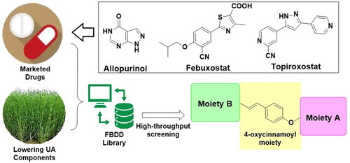 Figure 1. The sources and general patterns of the potential compounds Spartinin C1–C24.