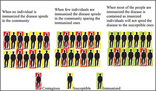 Figure 1. Herd immunity in infectious diseases. Disease spreads rapidly in non-immunized community. If there are few immunized individuals the disease will spread sparing the immunized ones. If the community contains around 64% immunized individuals the disease will not spread to the susceptible ones and finally the virus spread will reduce
