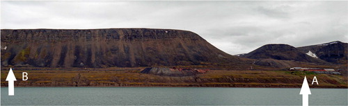 Fig. 3 Eastern shore of Grønfjord with the derelict cowshed and greenhouse of Barentsburg to the right of the picture. Anthropogenic soils sampled from location A. Natural situation logger located under the bird cliffs at location B (picture taken 21 July 2011).