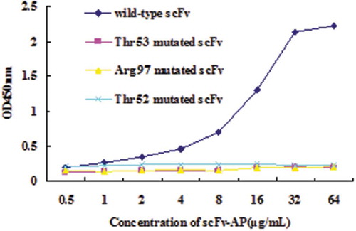 Figure 6. ELISA assay for mutated scFvs.