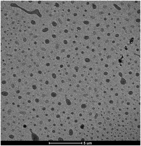 Figure 1. TEM image of Pluchea indica leaf extract nanoparticles.