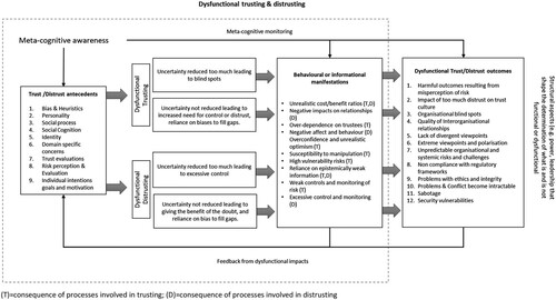 Figure 1. Dysfunctional trust – Bias and trust process model. (T) = consequence of processes involved in trusting; (D) = consequence of processes involved in distrusting.