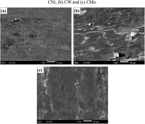 Figure 14. SEM images of worn morphologies of the three alloys tested at 1000 °C: (a) CNi, (b) CW and (c) CMo