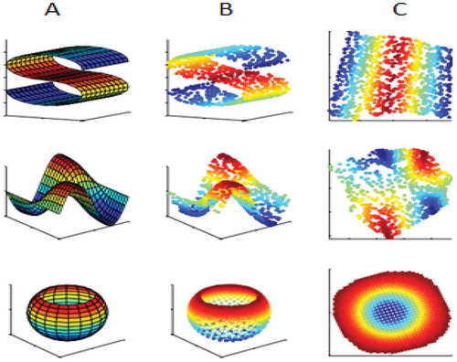 Figure 1. Examples of a three-dimensional manifold. Three-dimensional data (b) sampled from (a). (c) is two-dimensional data of sampled manifold (b).