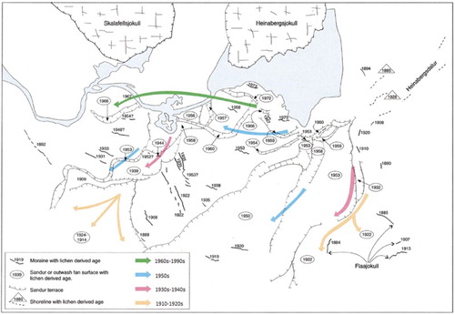Figure 3. Reconstruction of the historical development of the glacier forelands based upon age-size lichenometric dating and using post1945 aerial photography and historical documentation (from CitationEvans et al. 1999). The coloured arrows depict the generalised ages and flow directions of the proglacial outwash system.