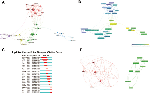 Figure 3 Co-occurrence analysis of authors. (A) Author collaborative network clustering view. (B) Author collaboration network label view. (C) Authors with the strongest citation bursts. (D) Collaboration network of some of the top authors.