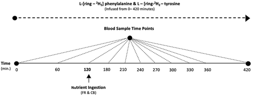 Figure 1. Meat ingestion and tracer infusion protocol
