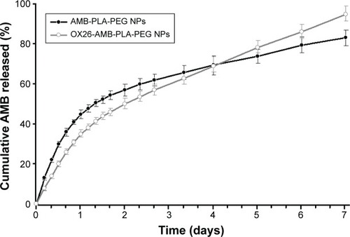 Figure 4 Cumulative release profiles of AMB-NPs and OX26-AMB-NPs in PBS (pH =7.35) at 37°C.Abbreviations: AMB, amphotericin B; NP, nanoparticle; OX26, TfR monoclonal antibody of rats; PBS, phosphate-buffered saline; PEG, polyethylene glycol; PLA, poly(lactic acid); TfR, transferrin receptor.