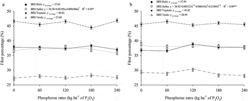 Figure 3. Fiber percentage as a function of phosphorus doses and naturally colored cotton cultivars in the first (a) and second (b) agricultural harvest.