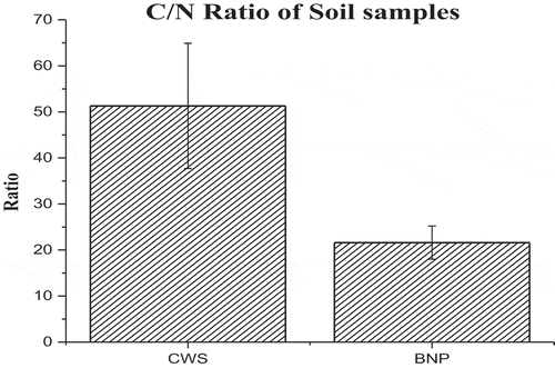 Figure 7. Column chart comparing the C/N ratio in terms of mean ± SEM.