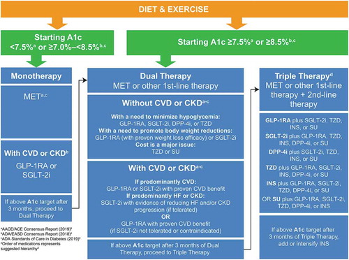 Figure 2. Summary of guideline recommendations (ADA, AACE/ACE, ADA/EASD) for add-on glucose-lowering therapy in patients with type 2 diabetes [Citation3–Citation5].A1c: glycated hemoglobin; AACE: American Association of Clinical Endocrinologists; ACE: American College of Endocrinology; ADA, American Diabetes Association; CVD: cardiovascular disease; CKD: chronic kidney disease; DPP-4i: dipeptidyl peptidase-4 inhibitor; EASD: European Association for the Study of Diabetes; GLP-1RA: glucagon-like peptide-1 receptor agonist; HF: heart failure; INS: insulin; MET: metformin; SGLT-2i: sodium–glucose cotransporter-2 inhibitor; SU: sulfonylurea; TZD: thiazolidinedione.