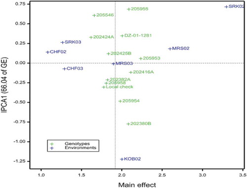 Figure 1. AMMI biplot of main effects of tef genotypes and environments, and IPCA1. CHF02 = Chefa 2002, CHF03 = Chefa 2003, KOB02 = Kobo 2002, MRS02 = Mersa 2002, MRS03 = Mersa 2003, SRK02 = Sirinka 2002, SRK03 = Sirinka 2003