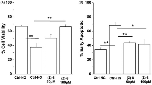 Figure 5. Effectiveness of compound (Z)-8 in increasing cell viability. (A) The histogram shows that while the hyperglycaemic condition impairs significantly cell viability, compared to the normoglicemic control (Ctrl-NG), treatment with (Z)-8 at both 50 and 100 µM concentrations recovers the level of cell viability, even significantly at 100 µM. (B) Histograms show results obtained for apoptotic pathway inhibition. It is important to note that the level of apoptotic process is significantly reduced after the treatment with both 50 and 100 µM of (Z)-8. Values were reported as mean ± SEM (n = 3, independent experiments); t-test *p < 0.05, **p < 0.01. The values shown for the Ctrl-NG and Ctrl-HG correspond to those present in the previous work of the same authorsCitation15 because the molecules of the two works were evaluated in a single screening.