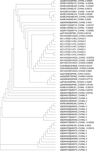 Figure S1 Phylogenetic tree, showing the evolutionary divergence among the different membrane proteins of human coronaviruses.