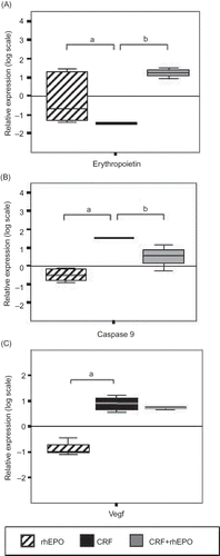 Figure 3. Relative kidney gene expression quantification for erythropoietin (A); Caspase 9 (B); and Vegf (C) in rhEPO, CRF, and CRF + rhEPO groups comparatively to control group (zero line). Results are means ± SEM (seven rats per group): ap < 0.05 versus the control group; bp < 0.05 versus the CRF group.