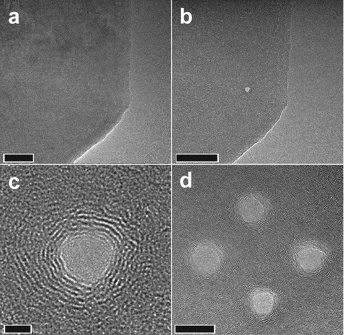 Figure 1. TEM images of a suspended graphene sheet (a) before and (b) after a nanopore is made by electron beam ablation. (c) Higher magnification image of the nanopore. (d) Multiple nanopores made in close proximity to each other. Scale bars are 50, 50, 2, and 10 nm, respectively. Reproduced from Ref. [Citation20] with permission from AIP Publishing LLC.