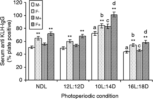 Figure 4.  LPS treatment and KLH-IgG titer (as % plate positive) under different photoperiods. NDL, 12L:12D, 12 h light 12 h dark; SD, 10L:14D; LD, 16L:8D, N = 7 per group. Data are Mean +/ − SEM. **p < 0.01 vs. respective female treatment in the same photoperiodic group; paired t-test; a: p < 0.01 vs. control males in NDL group; b: p < 0.01 control females in NDL group; c: p < 0.01 vs. LPS-treated males in NDL group; d: p < 0.01 vs. LPS-treated females in NDL group; one-way ANOVA followed by post-hoc test Tukey's HSD. M − : untreated, control, male; F − : untreated, control, female; M+: LPS-treated male; F+: LPS-treated female.